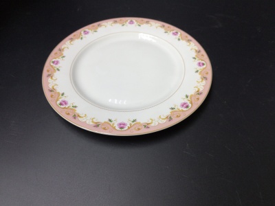 Daily ceramic, bone porcelain, flat plate, plate, 10.5 inch round flat film red/green