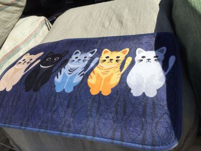 Flannel cushion cat design cartoon.