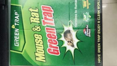 Large Green Mouse Sticker