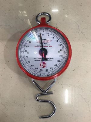 100KG Hook Scale Hanging Scale Mechanical Scale Spring Scale wai mao cheng India Scale