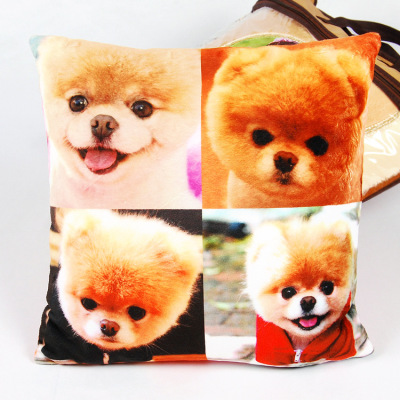Personalized pillow, European style pillow, heat transfer picture of pillow, custom-made DIY pillowcase