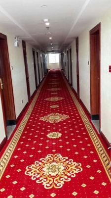 Indoor environmental protection carpet: 1.2m * 15m