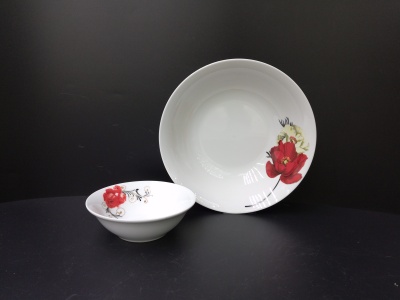 Ceramic high-temperature porcelain with a 6-inch round bowl.