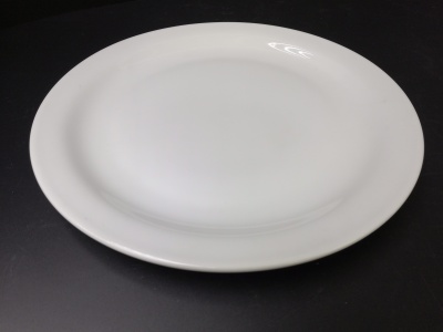 Ceramic high temperature porcelain with a flat disk of 10.5 inches.