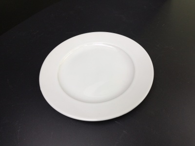 Ceramic high temperature porcelain with a 12-inch flat plate.