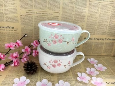 Snowflake small cup hand-painted sealed cover with fresh face cup ceramic cup ceramic gifts foreign trade ceramics.
