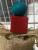 Wholesale pet toy bird toy parrot toy new hot sale accept reservation.