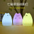 Free star colorful pet silicone lamp LED eye protection rechargeable lamp cartoon pressure relief lamp gift.