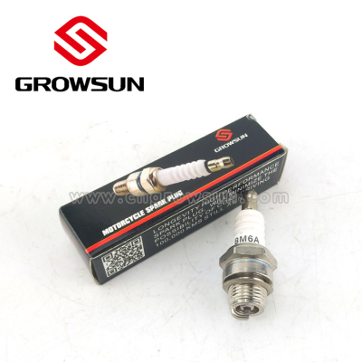 Motorcycle parts of Spark plug for BM6A/WS8E