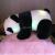 The LED light can add music plush toys to the panda national treasure black and white bear cubs.