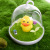 Led duck cage small night lamp touch charging smart sensor lamp bedroom head can be mounted sound control light.
