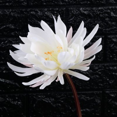 Artificial flower Artificial flower Artificial flower Artificial flower Artificial flower Flowers and decorative flowers.