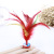 New children outdoor recreated male chicken feather key wholesale fine color and iron pieces chicken shuttlecock.