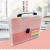 Domestic Trade Hot Sale Transparent Twill Pp Material Rainbow File Holder A4 Multi-Layer Portable Folder Information Bag