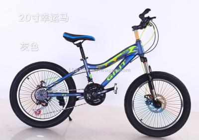 20inch  bike   moutain bicycle  student's bicycle