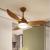 Modern Ceiling Fan Unique Fans with Lights Remote Control Light Blade Smart Industrial Kitchen Led Cool Cheap Room