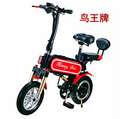 Bird king lithium battery helps the electric car to drive a substitute vehicle electric scooter