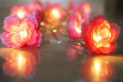 Pink little silk flower festival flower lamp string silk flower lantern string wedding decoration LED battery lamp