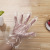 Disposable Gloves New Environmentally Friendly Home Catering Transparent Cleaning Gloves Disposable Gloves PE Safety Gloves