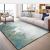 Environmental protection indoor carpet, household carpet floor mat 1 m *1.6 m