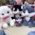 The new TY big-eyed cow, cat, pig, elephant and hippo doll plush toy LED lights up