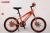 18-inch summa single-speed mountain bike bike for students