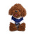 Factory direct sale autumn winter dog clothes Christmas pet knitting sweater cat clothes