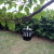 Creative led solar candle technology decorative lamp courtyard hanging decorative iron art lamp