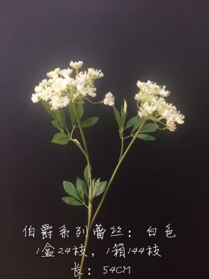 LAN jin (flower know flower industry) earl series lace