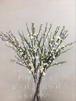 LAN jin (flower know flower industry) spring cherry