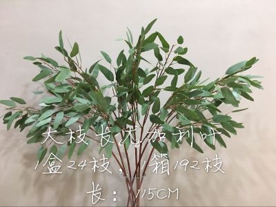 Orchid jin (flower know flower industry) branches long eucalyptus leaves