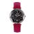 New style fashionable hot diamond glass face Roman digital star frosted band female watch student watch 2