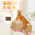 Cat toys corrugated paper cat-catching board