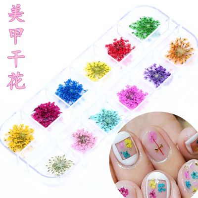 12 Colors Patterns 3D Dry Flowers Stickers Dried Nail Art Decoration DIY Manicure Tools w/box