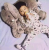 Elephant Comforter Bolster Plush Toy Doll Baby Doll Baby Sleeping Sleeping Companion Doll Birthday Gift