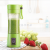 Electric Juicer Portable Juice Cup Multifunctional Charging Juice Cup Mini Fruit Juicer 2 Knives 4 Knives
