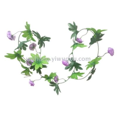 Eight lilacs
