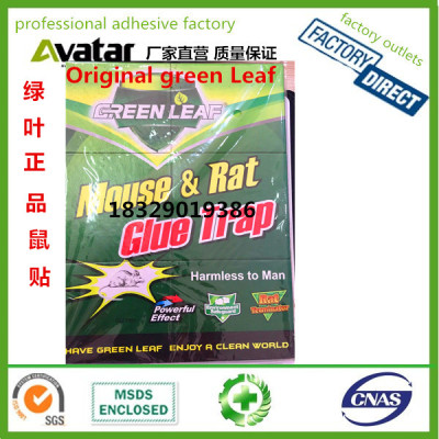 Green leaf mouse & rat glue trap Wholesale