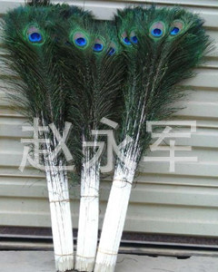 厂家直销*孔雀毛80-90公分*花瓶装饰、工艺摆饰、DIY面具配饰羽毛