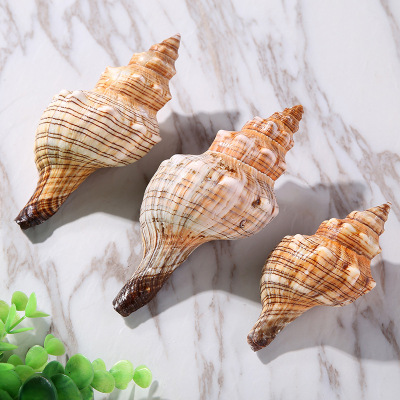 Factory direct sea natural shell red spiral conch conch shell decoration fish tank aquarium furnishings wholesale