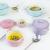 Japanese creative baking porcelain baking cup pudding steamed egg bowl dessert bowl with double ears covered baking bowl