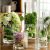Glass vases wholesale transparent straight vases landing vases hydroponic plant vases placed in pieces 10 cm in diameter