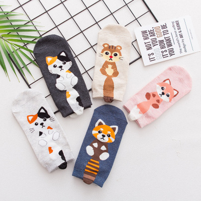 Three dimensional tail cat cartoon socks female cotton south Korean women's boat socks manufacturer women's socks