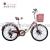 Lady car 22 "24" road car logistics car manufacturers bicycle lady direct