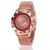 New flower-shaped lady's web band rose gold fashion watch