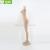 Xufeng manufacturer direct selling plastic body model Europe and the United States version of the big breast color