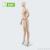 The 175CM full-length tall, slender plastic female model is light and easy to assemble fc-18f