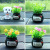 Car Perfume Decoration Car Creativity Emulational Flower Decoration Small Pot Plant Car Decoration Car Interior Decoration
