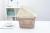 Imitation of hollow rattan weaving handbasket 6.8L plastic storage frame packaging frame storage basket bath basket