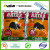 Factory Price Bromadiolone For Mouse Kill 100g